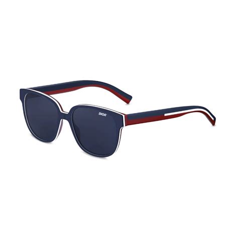 DiorFlag1 Tricolore Sunglasses 